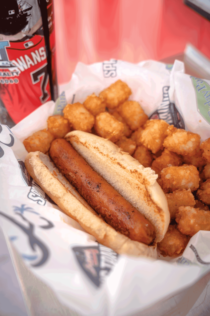 A food basket with a hot dog and tater tots