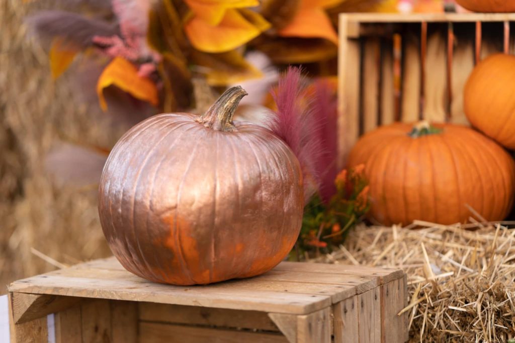 A pumpkin painted with gold paint lies on an agricultural wooden box for storing seasonal autumn harvest. Halloween decoration in October. Shallow depth of field, blurry background.