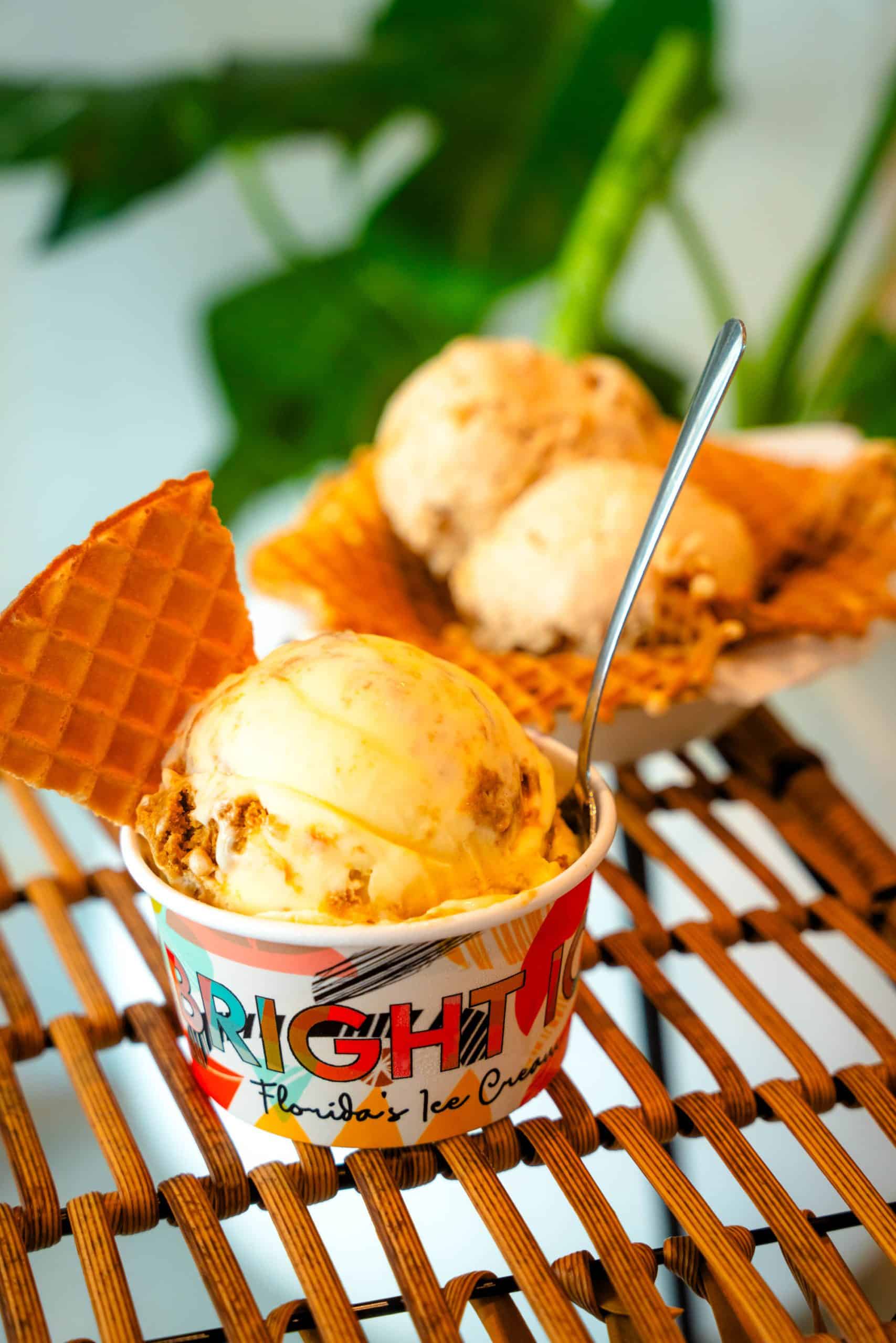 A cup with one scoop and an icre cream bowl with two scoops of ice cream on a basket weave table