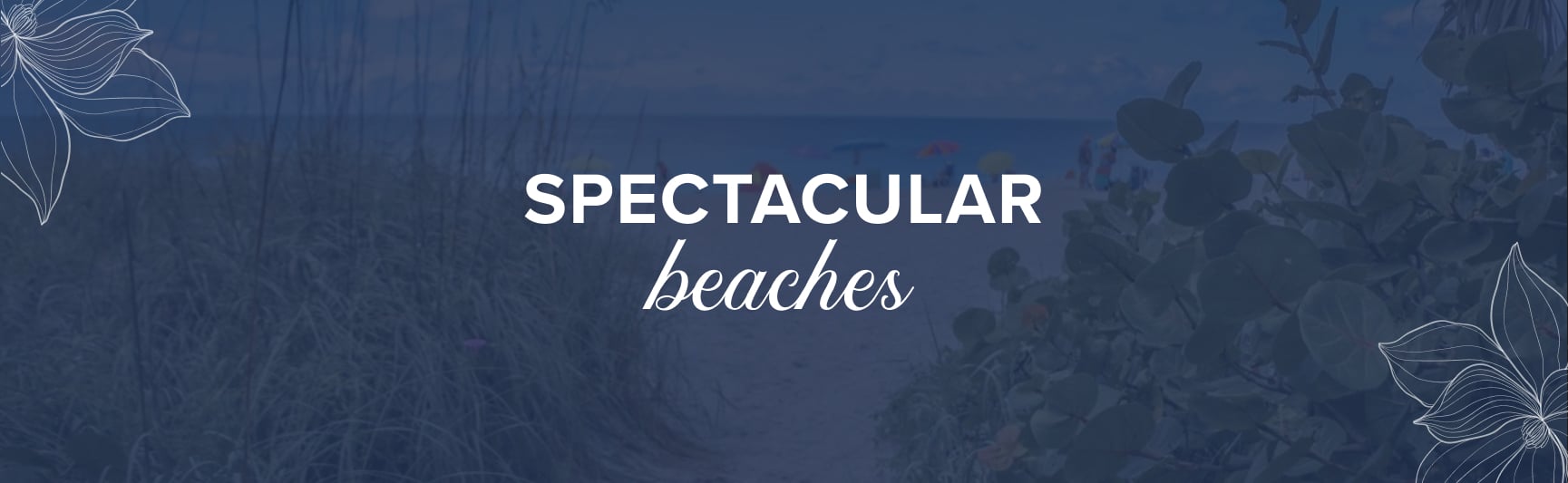 spectacular beaches