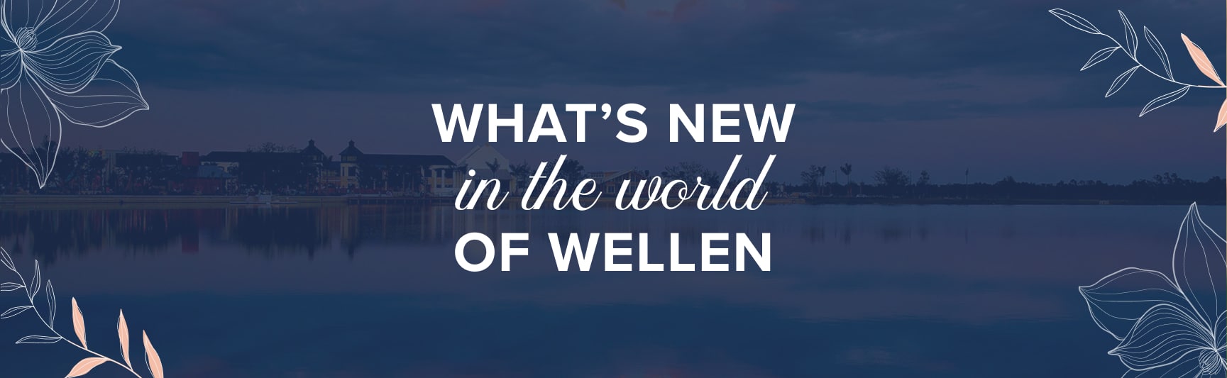 what's new in the world of Wellen