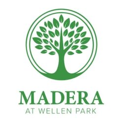Overview - Wellen Park